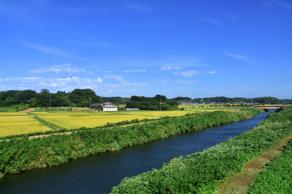 佐倉市の相続に関する情報